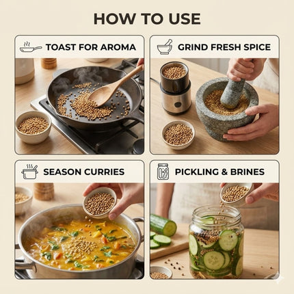 Coriander Seeds – All-Natural, GMO-Free, Perfect for Cooking, Mixed Spices, Pickling & Planting